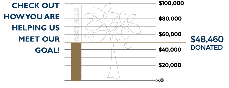 Donation Progress Forest Hills Public Schools